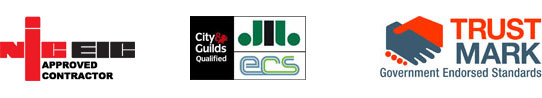 NIC EIC, ECS City & Guilds Qualified, Trust Mark - Government Endorsed Standards